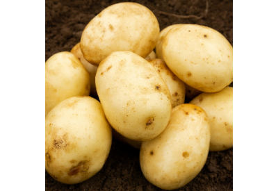 Nadine Seed Potatoes (Second Early - 1 kg)